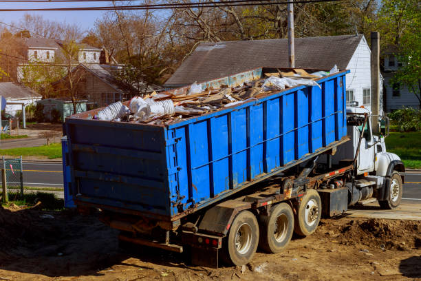 Best Recycling Services for Junk  in Davis Junction, IL